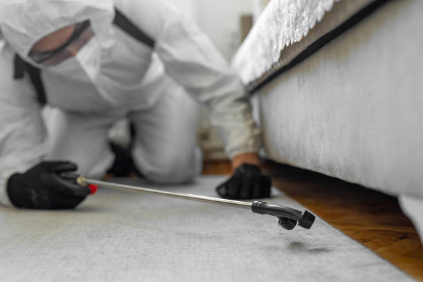 Professional Pest Control technician working in Macon County County, AL